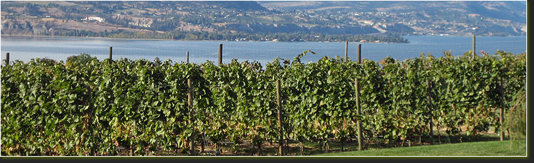 Okanagan Valley Web Design